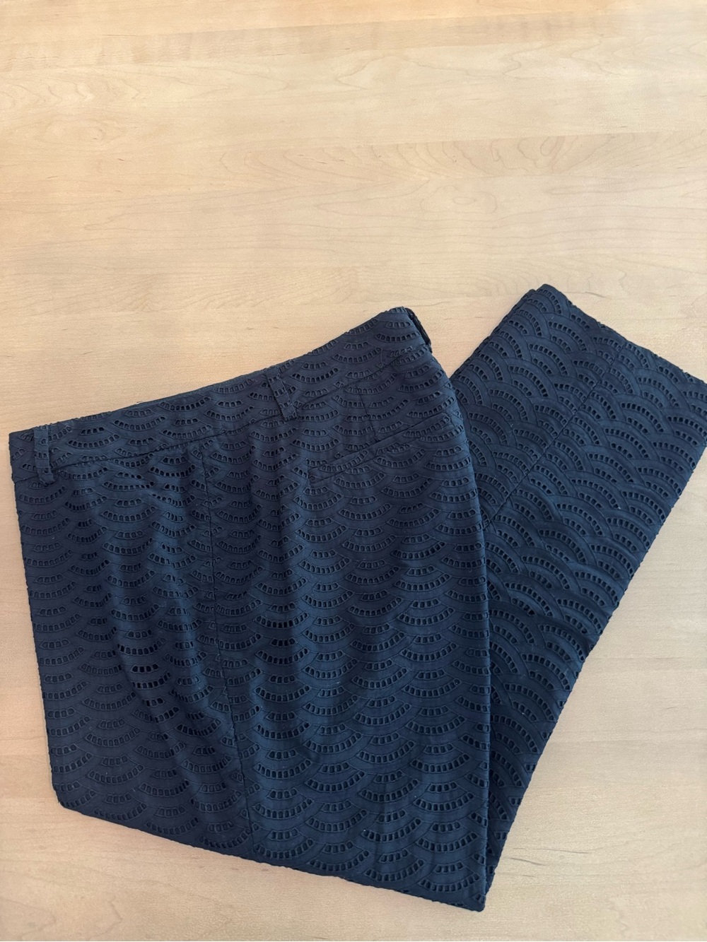 Ann Taylor Women’s Eyelet Pant in Size 14